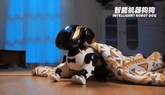 Robot Dog Electric Pet